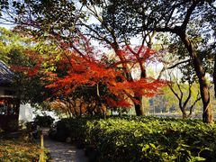 -北山街历史文化街区