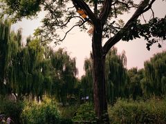 -三里河公园