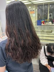 -镁连社·美联社