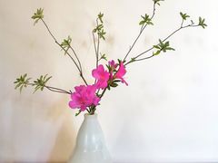-腾冲和顺柏联酒店
