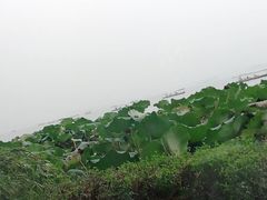 -湖畔居茶楼(湖滨店)