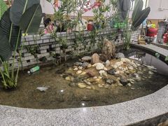 -夏家大锅台炖鱼馆