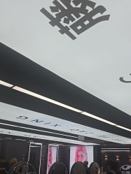 -藤野造型烫染优质