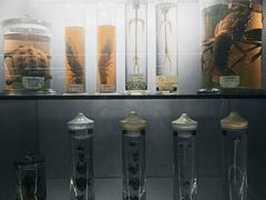 -郑州自然博物馆(惠济区)