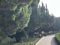 -洛阳古墓博物馆