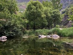 -灵溪风景区
