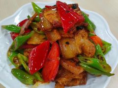 -天鹅到家·保姆月嫂育儿嫂(总店)