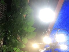 -鱼库·不仅是一家烤鱼店(车公庙店)