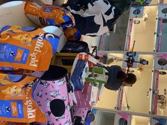-lincat·猫舍(广州店)