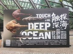 -凤凰中心