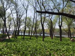 -长春市南湖公园