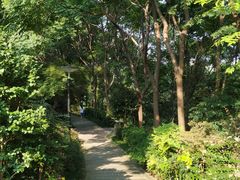 -重庆彩云湖湿地公园