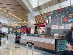 -达拉斯 沃斯堡国际机场