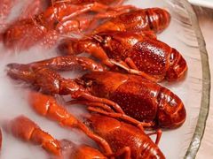 -红盔甲·小龙虾(车公庙店)