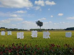 -嘉北郊野公园