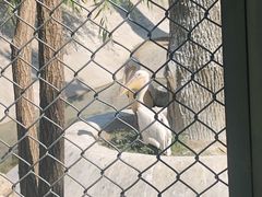 -石家庄市动物园