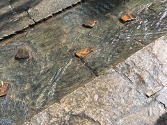 -竹泉村旅游度假区