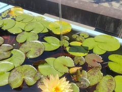 -钱王祠