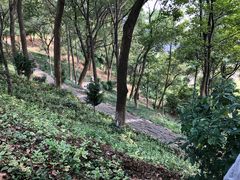 -平湖九龙山旅游度假区