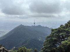 -梧桐山风景名胜区