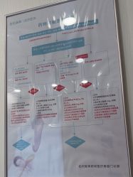 -智美品质医美