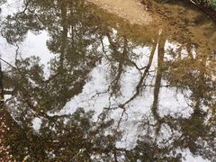 景点-济公故居