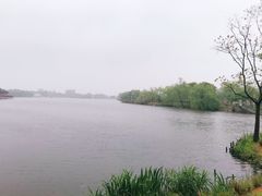 -杭州湾海上花田景区