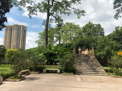 -晓港公园