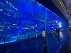 -成都浩海立方海洋公园