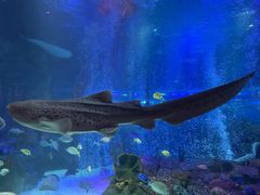 -沈阳海洋探索中心