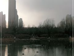 -前关湿地公园