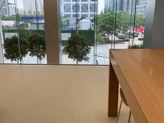 -Apple零售店(苏州店)