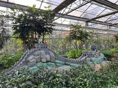 -南宫五洲植物乐园