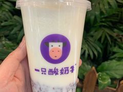 -一只酸奶牛(八一路店)