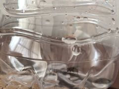-宁波九龙湖开元度假村