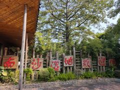 -大湾区中央湿地公园