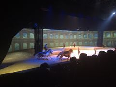-cavalia·舞马