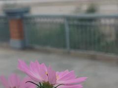 -灞河西岸滨河公园