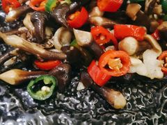 尖椒黑鸡枞菌-贵州大厦贵州厅(樱花园西街店)