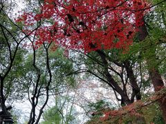 -吴山景区