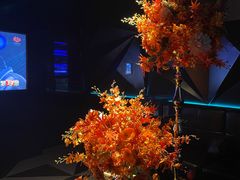 -黑桃K生日订制KTV