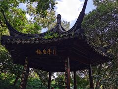 -上海醉白池公园