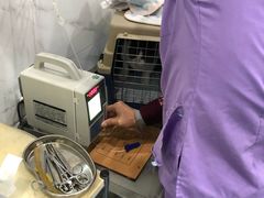 -伟伟宠物医院·CT影像中心·瑞派犬猫综合性门诊(汉口总院)