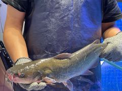 -鱼酷活鱼烤鱼(恒隆广场店)