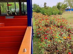 -永定河休闲森林公园