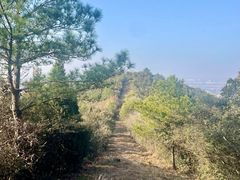 -杭州半山国家森林公园