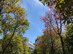 -江西科技学院