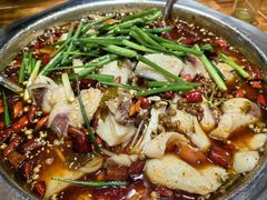 -乡土特色.冷锅鱼.牦牛肉汤锅