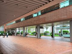 -香港大学