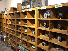 -金谷域澳洲庄园